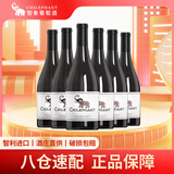 智象混酿干红葡萄酒750ml*6整箱装 智利进口红酒 