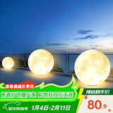 大观园（DGY）月球灯庭院灯氛围感户外灯防水落地灯月亮草坪氛围灯中山灯具378O 9876-25cm【户外月球灯】暖光