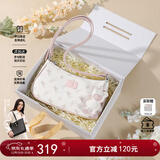 纽芝兰（NUCELLE）包包女2025飞马腋下包高级轻奢侈女生包包单肩斜挎包生日圣诞礼物