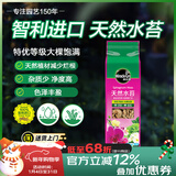 美乐棵智利进口水苔土蝴蝶兰营养土兰花文心兰干苔藓爬宠乌龟垫材150g