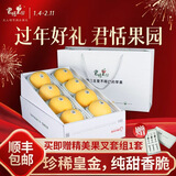 君恬果园皇金烟台苹果黄金维纳斯年货水果礼盒纯甜香脆高端礼盒 鉴赏级皇金8颗装