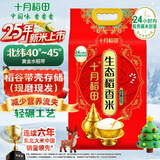 十月稻田 2025年新米 生态稻香米 10斤（东北大米 香米 5公斤/十斤）