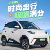 启巡26年新款海鸥电动四轮车14寸触控大屏家用全封闭空调油电代步汽车 空调款60v150a锂电续航300里