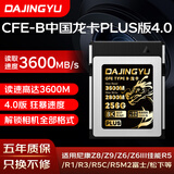 DAJINGYU大鲸鱼 256GB CFexpress Type B存储卡cfe b高速内存卡 读3600MB 适配富士佳能尼康松下8K超清录制