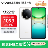 vivo Y300 国家补贴 新一代超级扬声器 6500mAh超薄蓝海电池 超抗摔护眼直屏 拍照 AI 手机 瑞雪白 8GB+256GB 官方标配