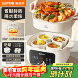 苏泊尔（SUPOR）电炖锅 电炖盅 隔水炖家用多功能煲汤炖汤盅陶瓷燕窝炖盅一盅五胆蒸炖一体多用途锅 DZ25YC886