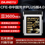DAJINGYU大鲸鱼 512GB CFexpress Type B存储卡cfe b高速内存卡 读3600MB 适配富士佳能尼康松下8K超清录制
