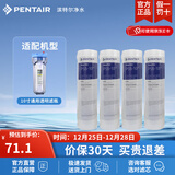 滨特尔（pentair） 净水器家用 前置10寸PP棉滤芯 简易更换 PP棉滤芯 10寸5μm通用 4只装