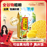 十月稻田 大黄米 2斤 黍米黄黏米粽子米 低脂粗粮杂粮米 黄米饭 高蛋白
