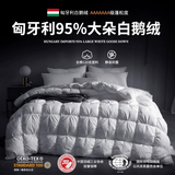 匈牙利正品羽绒被95白鹅绒100%冬被五星级酒店加厚保暖抗菌春秋被 纯洁白静音120支全棉白鹅绒 200*230cm【冬被约充绒1600g】