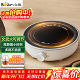 小熊（Bear）迷你电陶炉 煮茶器煮茶炉煮茶壶 养生围炉煮茶老白茶黑茶花茶泡茶不挑器具 DTL-J13N3