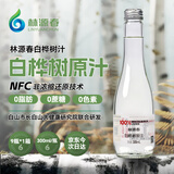 林源春白桦树汁原液饮料100%NFC原汁0添加白桦树树汁300ml*9瓶/箱