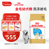 皇家狗粮 金毛幼犬狗粮 犬粮 宠物大型犬 AGR29 全价犬粮 2-15月 12KG