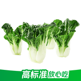 京鲜生(供港基地)奶白菜(鹤斗白)300g