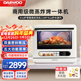 大宇（DAEWOO）微蒸烤炸炖一体机家用微波炉双热风水波炉蒸烤炸炖四合一台式蒸烤箱26LWZK06 商用级别（26L）