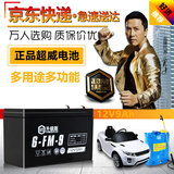 超威（CHILWEE）大容量电瓶12V9Ah卷闸门喷雾器电梯安防音响四轮童车UPS蓄电池12V