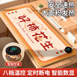 八海鸟加热桌垫办公桌面发热鼠标暖桌垫学生电热暖手宝取暖神器