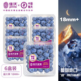 佳沃（JOYVIO） 蓝莓 大果18mm+ 6盒礼盒装 125g/盒 新鲜水果礼盒