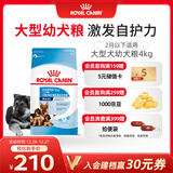 皇家狗粮幼犬奶糕幼犬狗粮宠物大型犬MAS30全价犬粮≤2月4KG