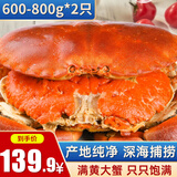 黄金面包蟹熟冻大螃蟹英国特超大鲜活海鲜水产 大号面包蟹600-800g/只*2