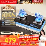 万和【蓝莲花B9L50】4.8kW液化气猛火63%热效率家电以旧换新嵌入家用煤气双炉具台燃气灶