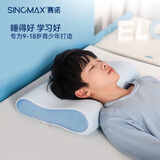 赛诺（SINOMAX） 青年学生枕记忆护颈枕头慢回弹枕芯透气护颈枕单人枕9-18岁正品 B类单只 中枕8cm