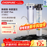 爱惠浦（Everpure） 家用矿物质厨下净水器 大流量0废水直饮 1.8L/分钟3500L处理量 EF-900P Plus
