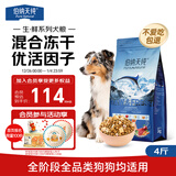 伯纳天纯生鲜1.0小型犬中大型犬粮深海三文鱼泰迪比熊幼犬成犬粮2kg/4斤