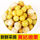 辰实【现货】云南菇娘果新鲜 黄姑娘果 灯笼果菇凉果 5斤