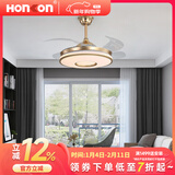 宏光照明（Honkon）吸顶灯带风扇现代智能调光遥控变频吊扇灯餐厅卧室家用书房房间灯 TB-42ZFS-015 金色 48W智能变光