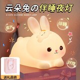 朵帆兔子小夜灯新年礼物儿童玩具10-15岁女童生日礼物8-12岁女生女孩