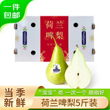 京鲜生 荷兰啤梨5斤礼盒装 软糯香甜 单果130g-170g 源头直发 一件包邮
