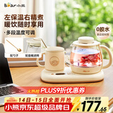 小熊（Bear）迷你养生壶 办公室烧水壶电水壶煮茶壶 保温杯垫多功能花茶壶煮水壶0.8升 YSH-D08D3 
