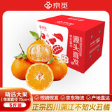 京觅四川不知火丑橘丑柑5斤单果75mm+生鲜水果源头直发2月24号后发货