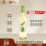 张裕（CHANGYU）先锋诗榴花干白冰爽白葡萄酒 750ml 【微酸不甜】西班牙原瓶进口