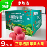 京地达山东烟台栖霞红富士苹果85级9斤大果 精选烟台苹果水果源头直发