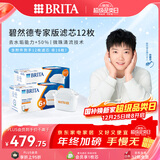 碧然德（BRITA）家用净水壶 滤水壶滤芯 MAXTRA+LE 专家滤芯 12枚装（本品加附件6个共计12个非18枚）