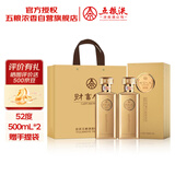 五粮液股份 财富人生金砖 纯粮食白酒 52度500ml*2瓶 送礼佳品