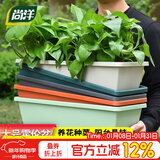 尚洋霍伦种菜花盆大号(黑色)家庭育苗神器塑料盆室内阳台植物种植箱