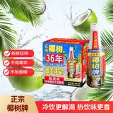 椰树牌 椰汁 1.25L*6瓶 植物蛋白饮料 正宗海南特产 整箱装