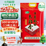 十月稻田 2025年新米 长粒香大米 10斤（东北大米 香米 5公斤/十斤）