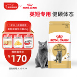 皇家猫粮 英短成猫粮 BS34 通用粮 12月以上 2KG
