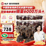 晓芹大连冷冻即食海参500g 10-14只*2袋 辽刺参 海鲜水产 非礼盒