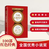 今夜有暴风雪 百部红色经典 茅盾文学奖得主、电视剧《人世间》原著作者梁晓声佳作