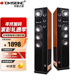 丹麦之笙（DMSEINC）家庭影院2.0声道无源音响 前置主箱 家用客厅电视hifi音响 落地无源音箱 大功率音箱需搭配功放 名门9号【10吋前置主箱】
