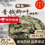 青钱柳叶 张家界精选青钱柳原叶古树金钱柳青钱柳养生茶5 500g