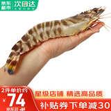 哆鲜生 海捕竹节虾 野外生长活冻国产斑节虾大花对虾九节竹节鬼虾虾类 竹节虾 特大号 5-6条 300g(净重)