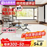 远晶800x800天鹅绒瓷砖58度超白胚客厅地砖卫生间厨房墙砖奶油风广东 58°超白胚-亮光-纯白 800x800