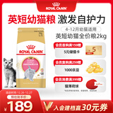 皇家猫粮 英短幼猫粮 BSK38 通用粮 4-12月 2KG