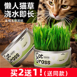 HELLOJOY猫草种子栽培罐头盒装猫草罐头懒人猫草助消化去毛球猫咪零食 1罐